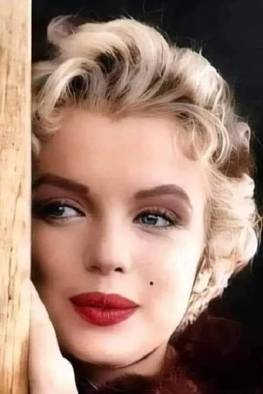 Image: Il était une fois Marilyn et Einstein...