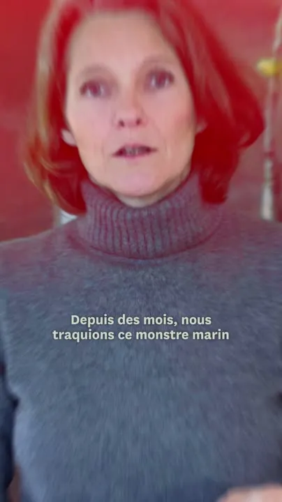 Image: NON à l'Annelies Ilena