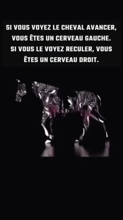 Image: Si j'avance et que tu recules, comment veux-tu qu'on ait le même cerveau ?