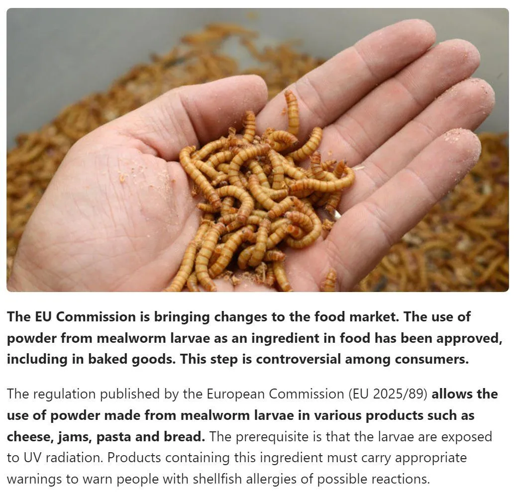 Image: 4% de poudre d'insecte autorisée par l'UE dans les produits agro-alimentaires