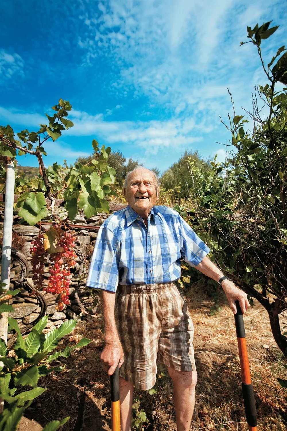 Image: Stamatis Moraitis a survécu à toutes les maladies