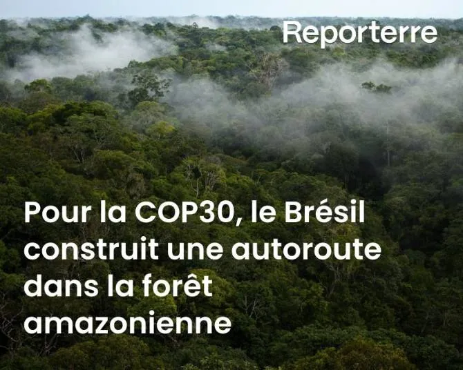 Image: Construction d'une autoroute en Amazonie pour la COP30