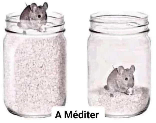 Image: La souris dans un bocal de riz