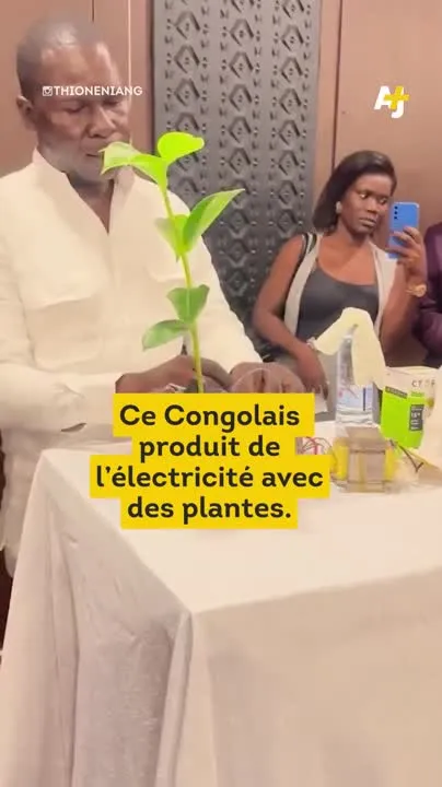 Image: Fabriquer de l’électricité avec des plantes