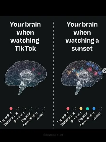 Image: Cerveau bien et mal stimulé (en anglais)