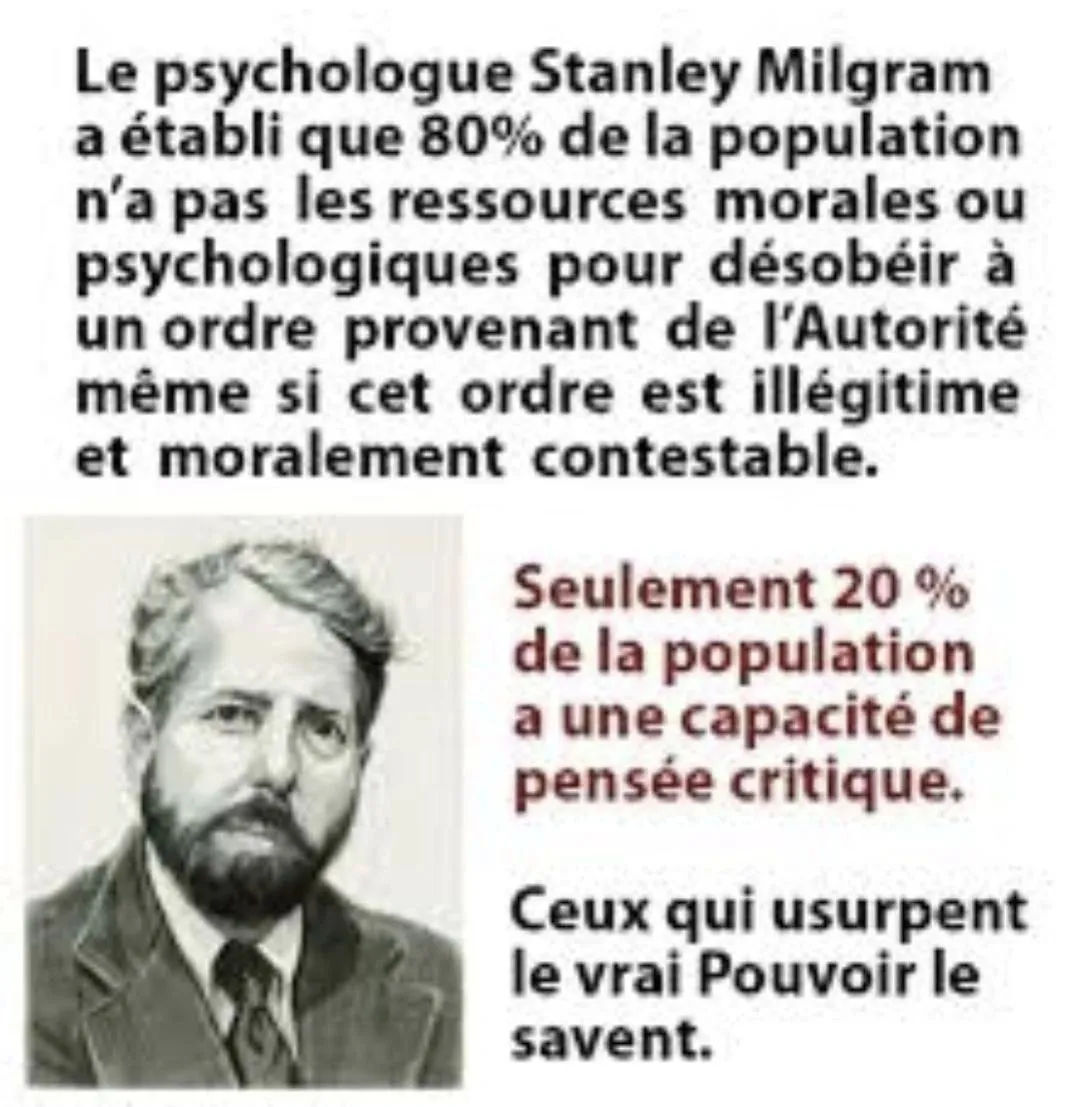 Image: Seuls 20% de la Population peut avoir une pensée critique selon Stanley Milgram