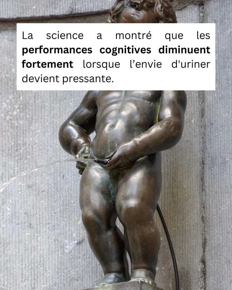 Image: Mieux vaut éviter de prendre une décision importante quand on a une envie pressante