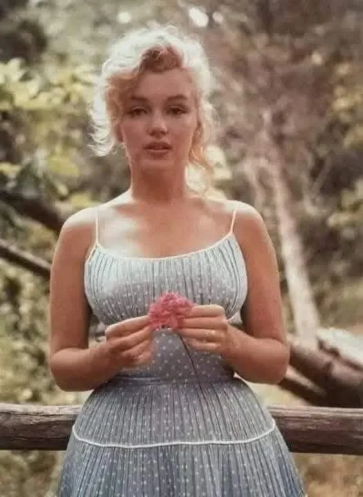Image: Echange inspirant entre Marylin Monroe et Albert Einstein
