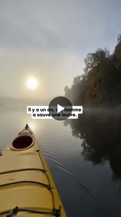 Image: Une loutre reconnaissante
