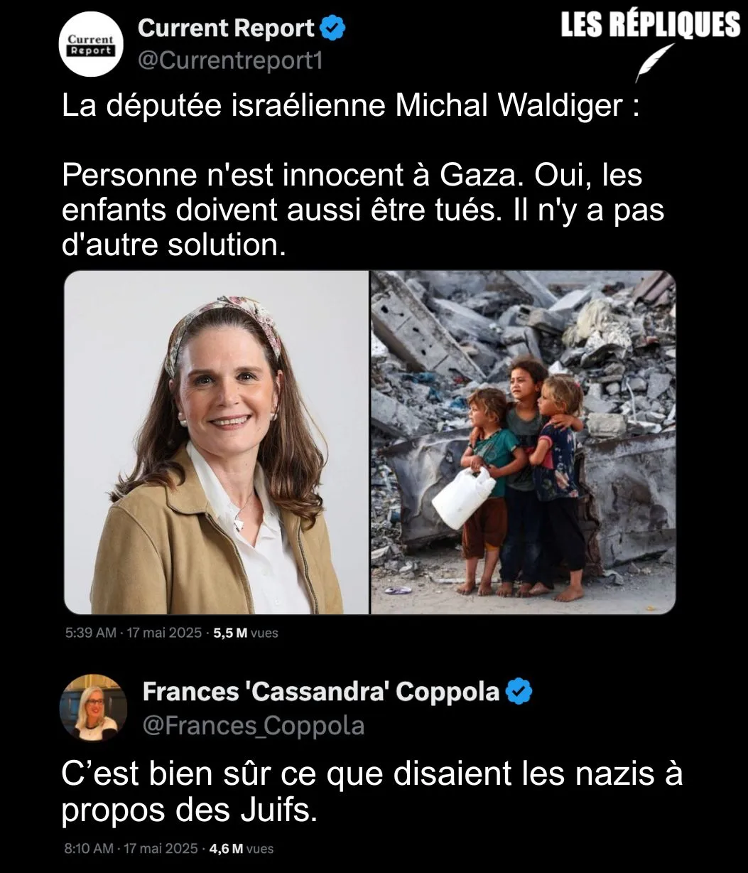 Image: Les propose glaçants de Michal Waldiger
