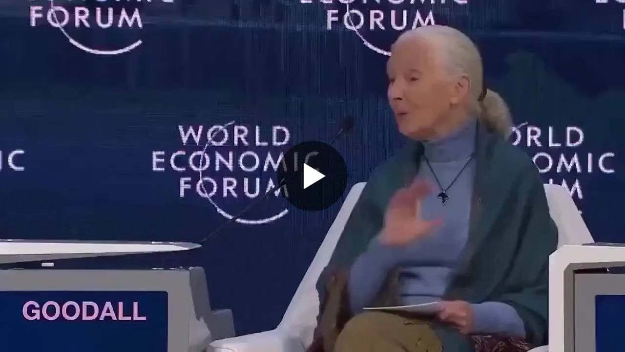 Image: Jane Goodall recommande de supprimer 93% de la population mondiale