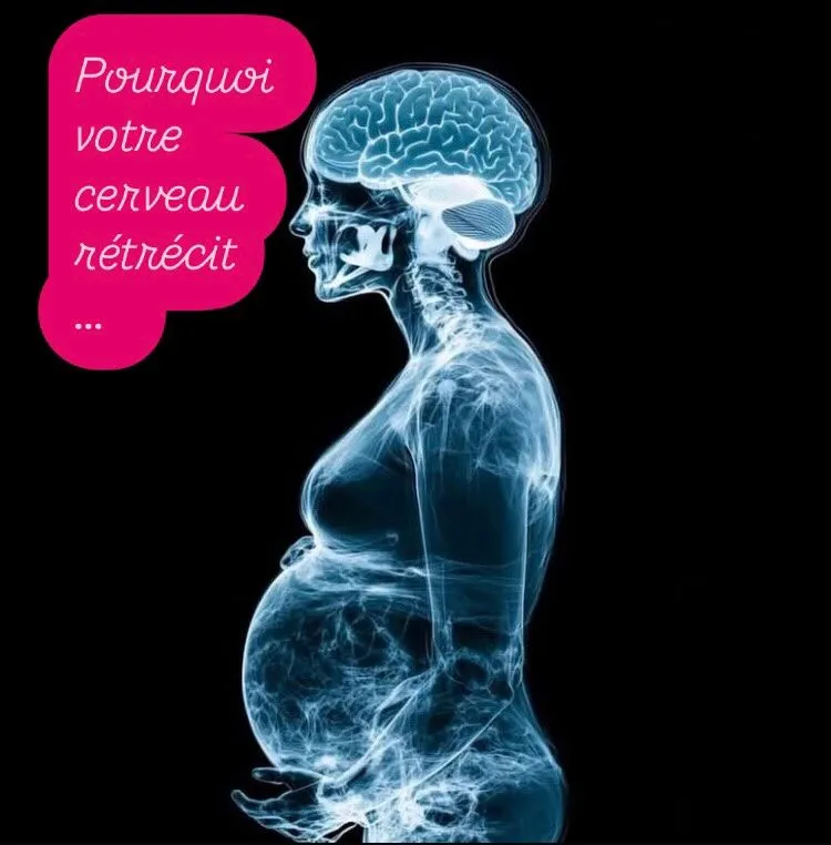 Image: Le cerveau de la femme enceinte rétrécit