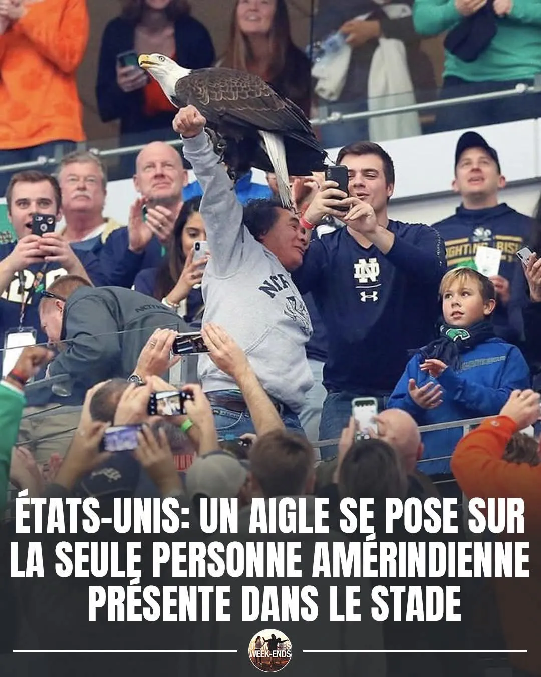 Image: Un aigle qui se pose sur le seul Amérindien du stade
