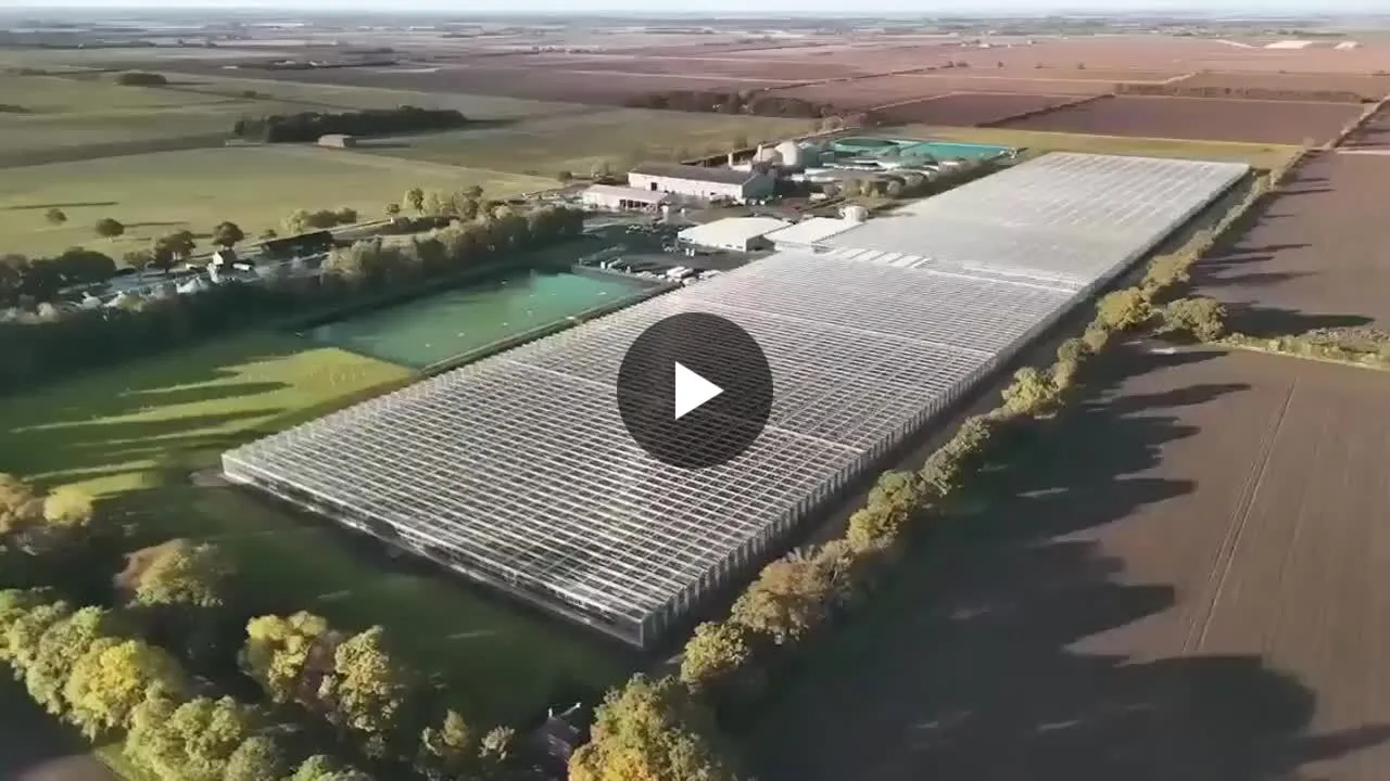 Image: Dyson automatise la pousse des fraises