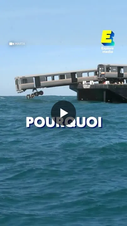Image: Des vieux métros comme récifs marins