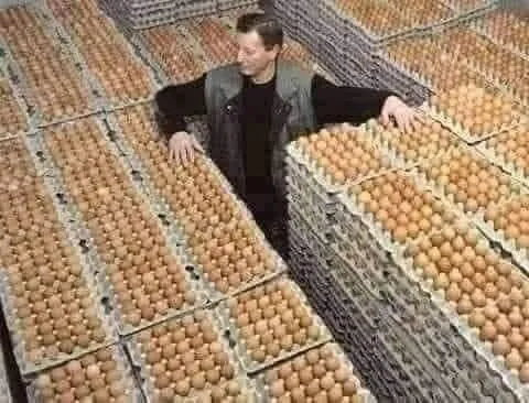 Image: Le prix des œufs : le citoyen a le choix !