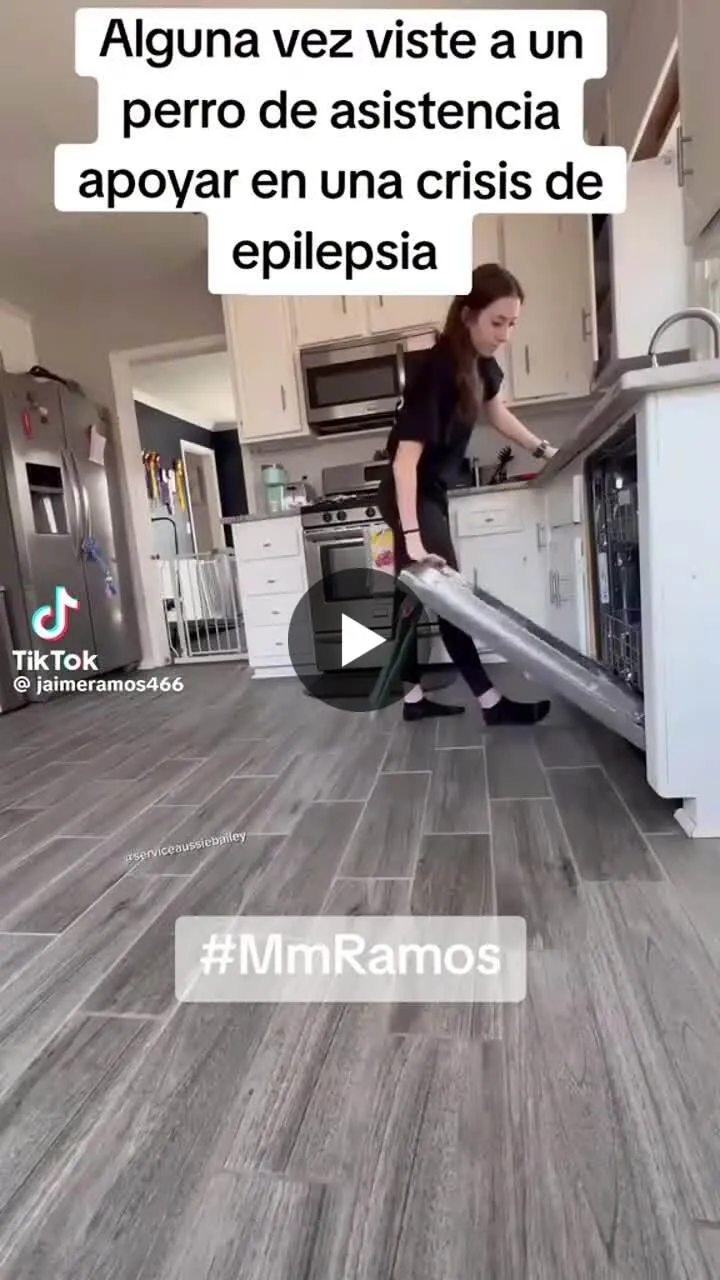 Image: Ce chien détecte les crises d'épilepsie grâce à son odorat