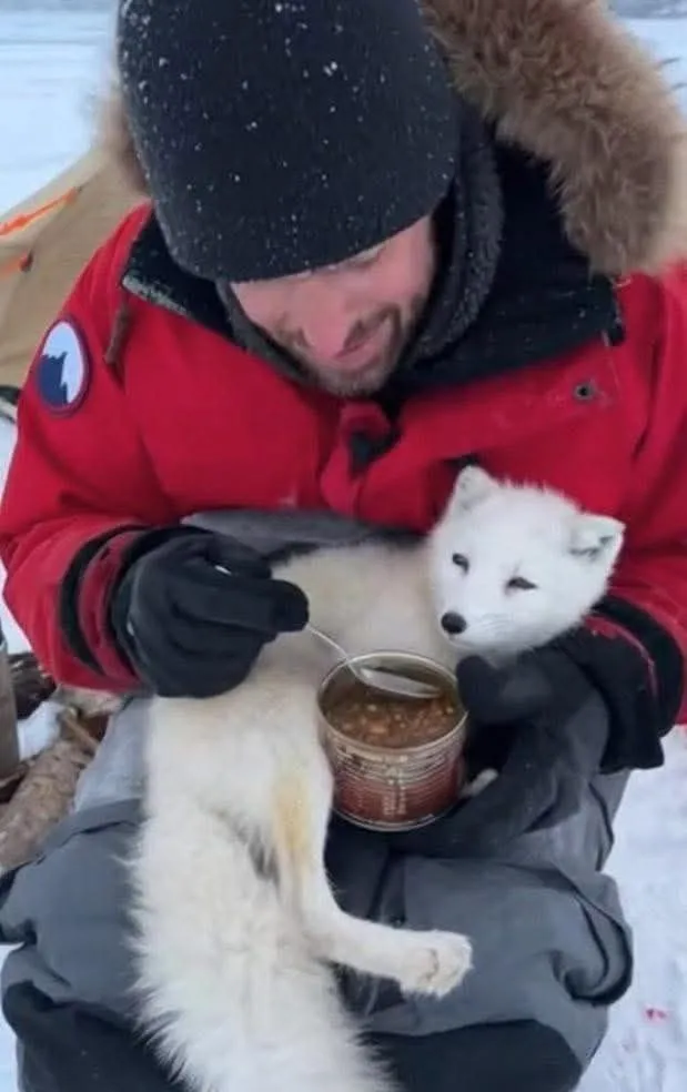 Image: Comment Dr Aris Thorne est redevenu un homme en sauvant un renardeau du froid