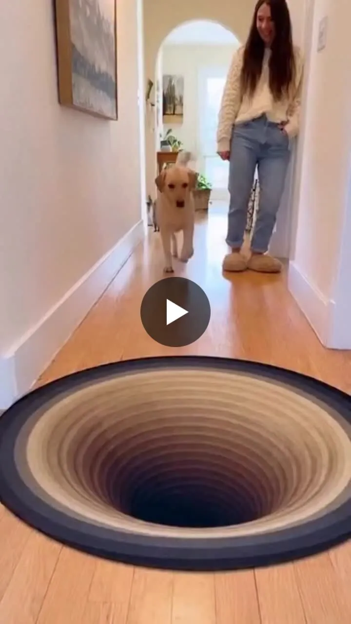 Image: Les faux trous qui font peur aux animaux