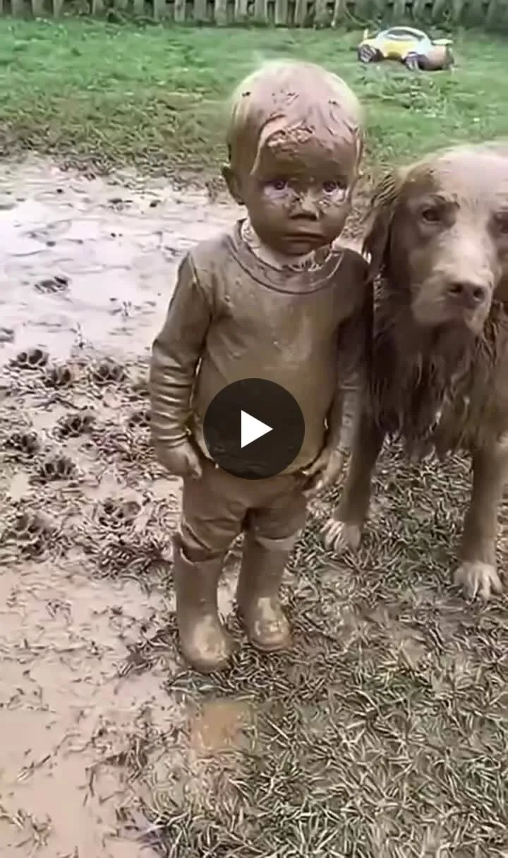 Image: Vidéo d'un enfant et son chien dans la boue
