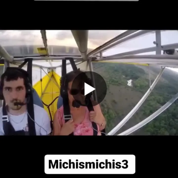 Image: Un chat qui fait du deltaplane