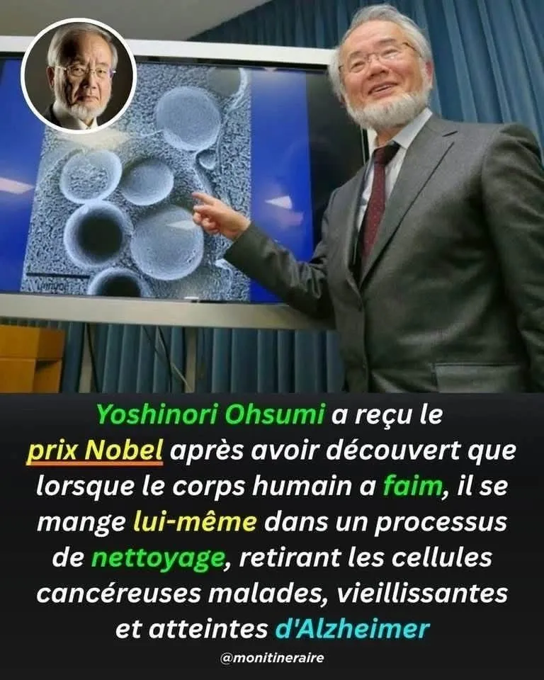 Image: Quand il s'auto-nettoie, l'organisme abaisse le risque de cancer et d'Alzheimer