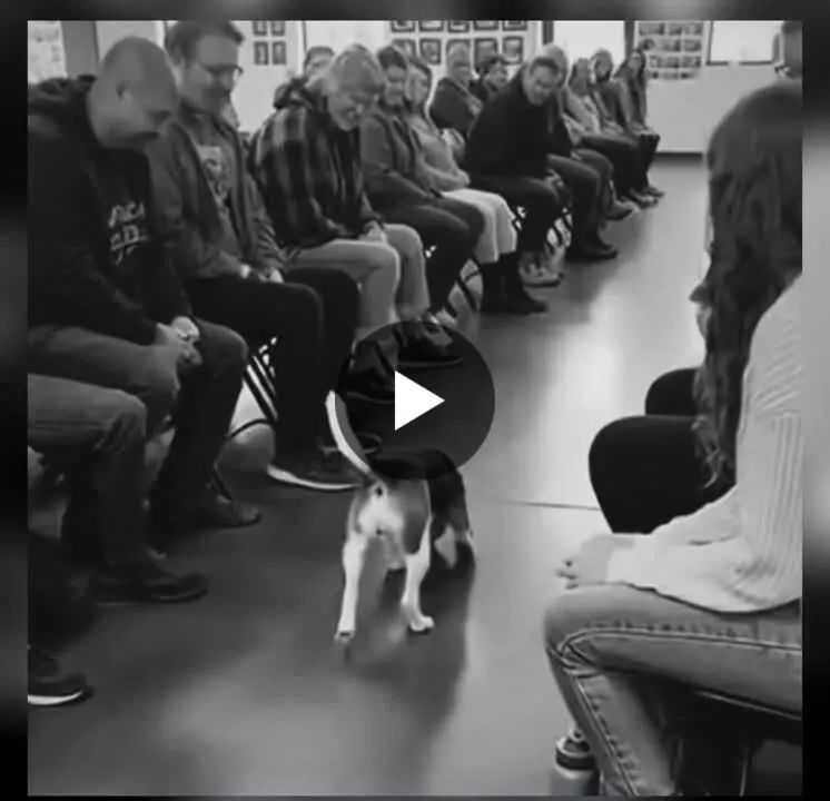 Image: C'est les chiens qui choisissent leur maîtres