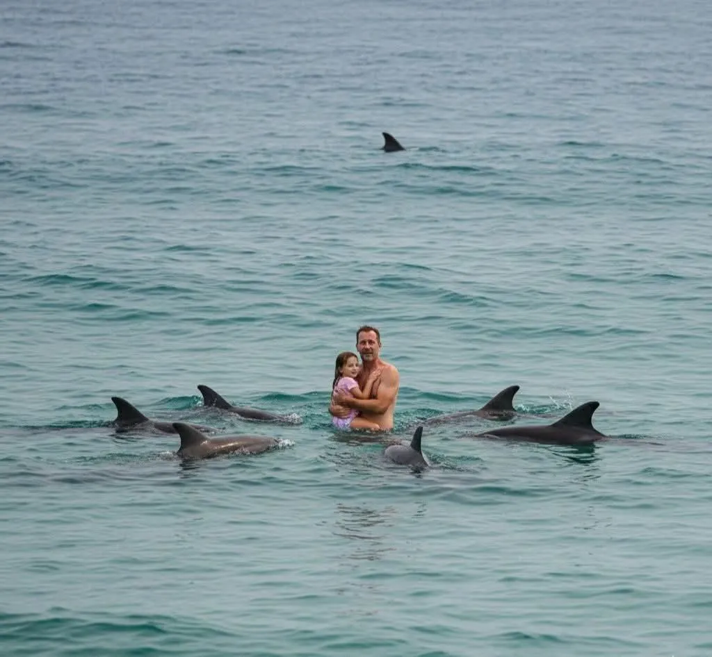 Image: Rob Howie et sa fille sauvés d’un requin blanc par des dauphins