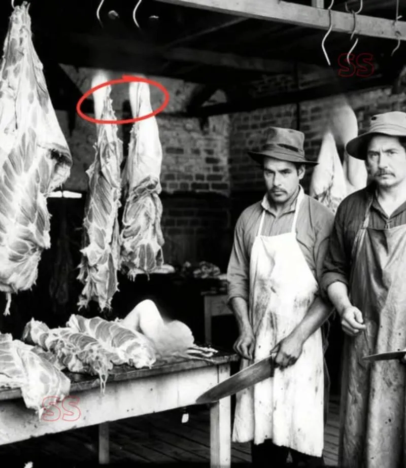 Image: L’abattoir Aguilera au Chili dépeçait des corps humains