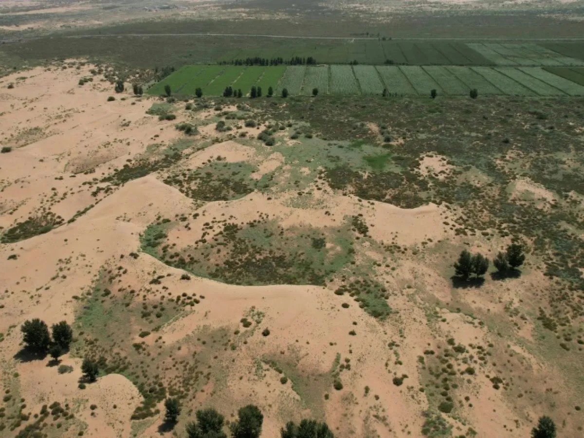 Image: La Chine a tellement planté qu'elle en a changé le climat