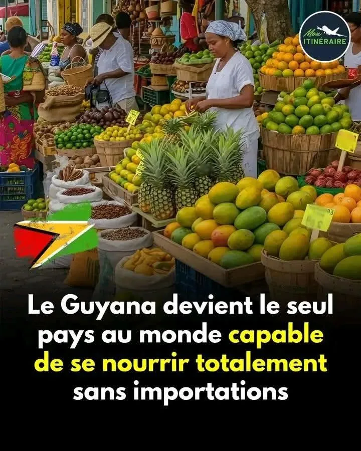 Image: Le Guyana est le seul pays au monde à pouvoir nourrir ses citoyens sans importations