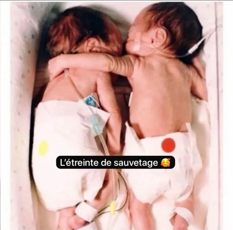 Image: L'étreinte de sauvetage