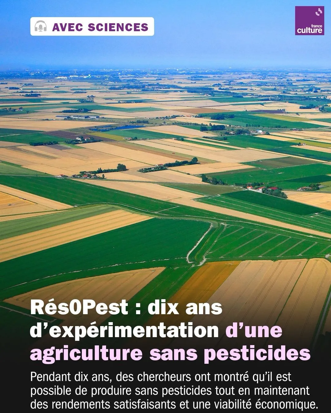 Image: L'agriculture sans pesticides