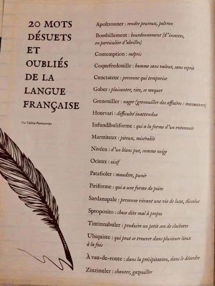 Image: "sproposito" un mot oublié de la langue française ?
